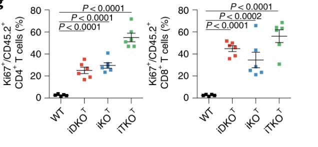 NatImmunol's tweet photo. Mutations in the RNA-binding proteins Roquin-1 or Regnase-1 cause systemic autoimmunity. Behrens et al show that Roquin-1 and Regnase-1 physically interact and thereby regulate CD4+ and CD8+ T cell metabolism and functionality. https://t.co/SrTGLqwHMG @LMU_Muenchen https://t.co/WgWsmEGU6q