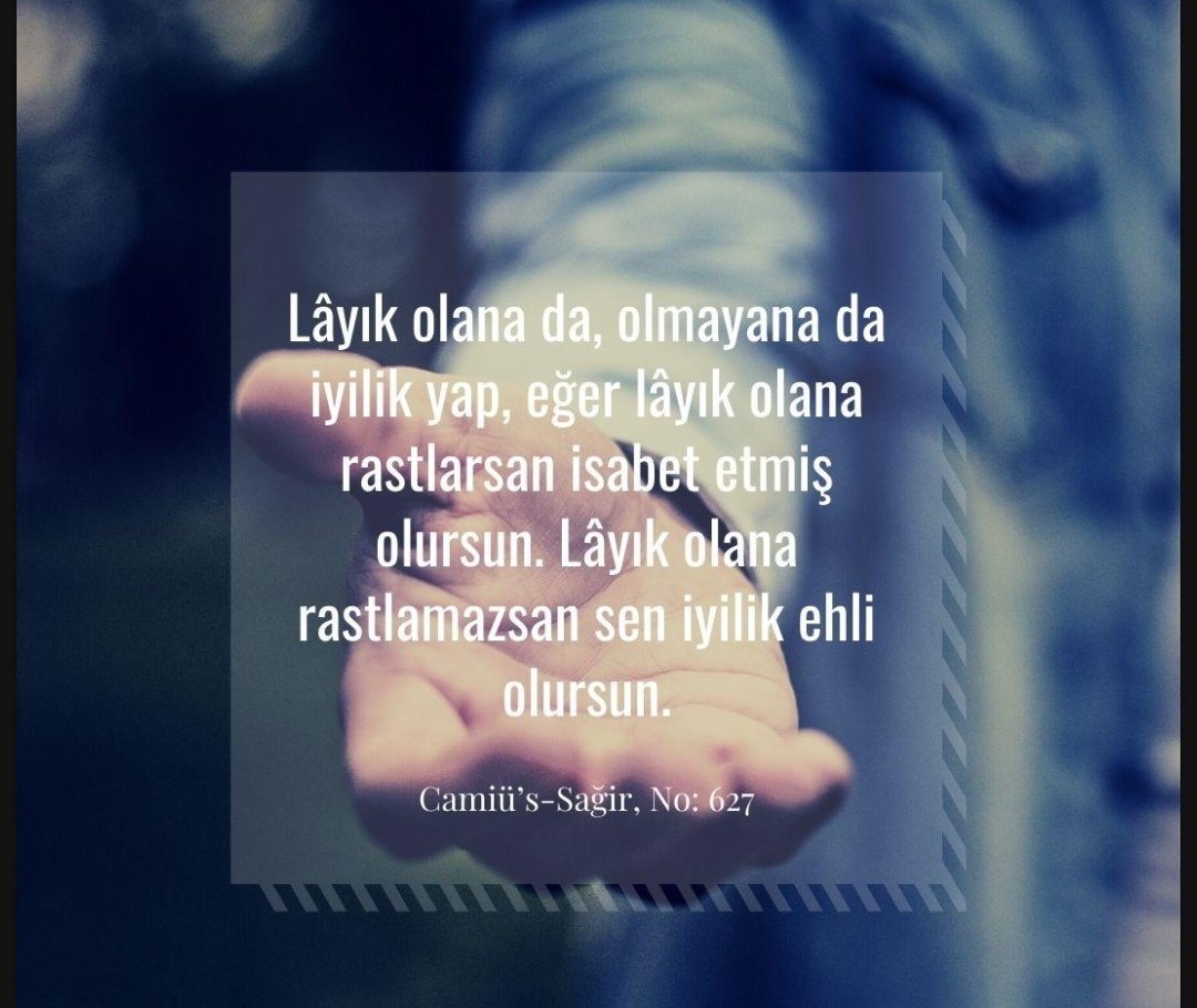 Eylulben3's tweet photo. 😉🌾 https://t.co/sdUtw6hUoD
