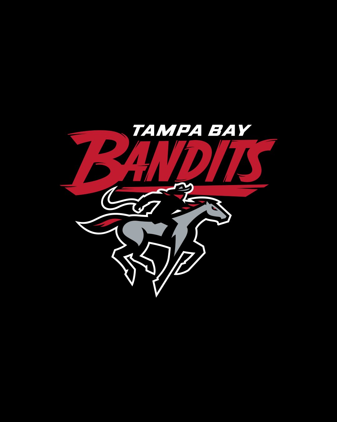 Tampa Bay Bandits on Twitter "We are the Tampa Bay Bandits 🤠 https//t