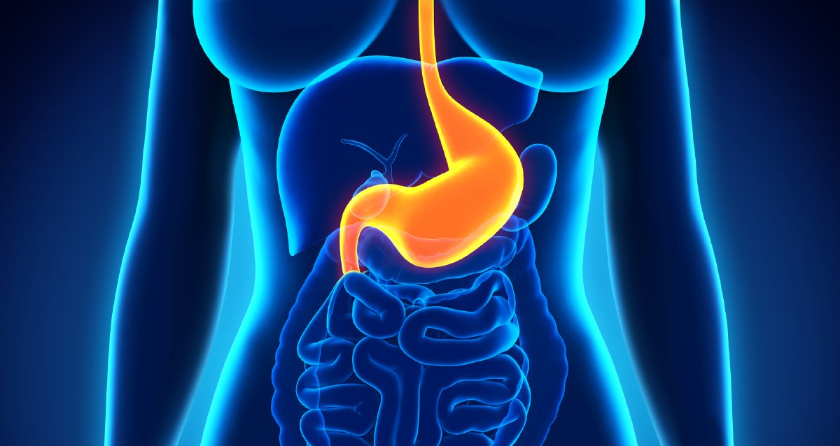 WebMD's tweet photo. Most of us have occasional periods of reflux and the heartburn that can result, but with GERD, it happens two or more times a week. Thanksgiving poses particular challenges for people with GERD, learn why:
https://t.co/s4nr0nWcQ9 https://t.co/UFs8Df8Ah1