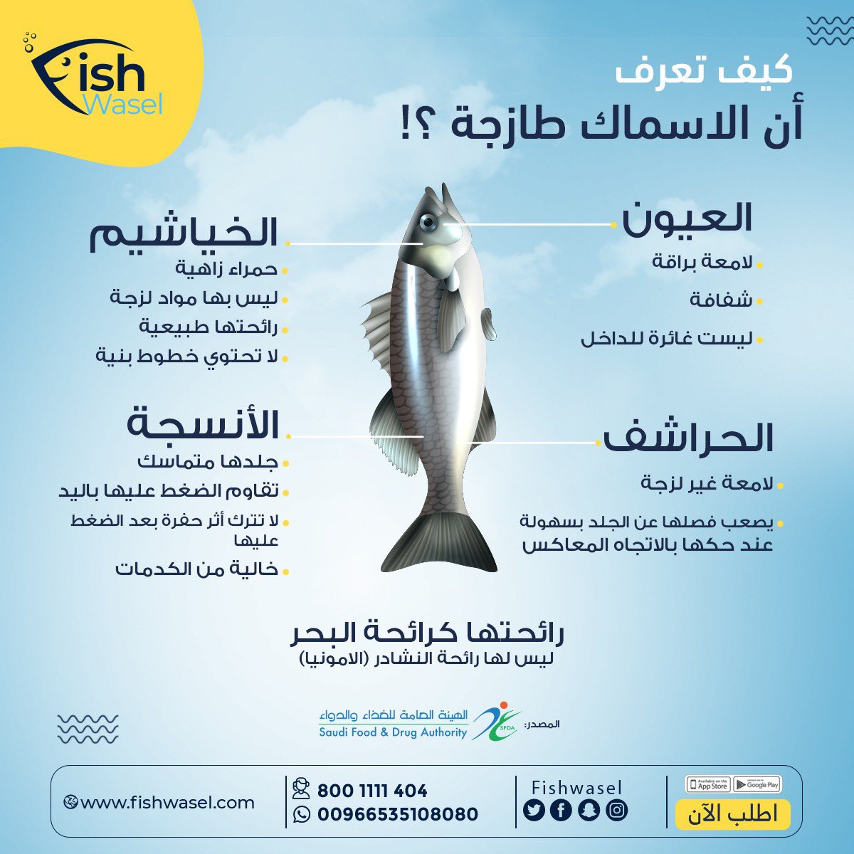fishwasel's tweet photo. اعرف بنفسك جودة السمك الطازج بهذه النقاط الخمسة ✋🏼

فش واصل تضمن لك جودة الطازج اللي تستحقها لكل الاسماك والبحريات اللي تحبها👌

ريح بالك واطلب الحين اسماكك 🐟

#فش_واصل #نصيحة_اليوم #سمك_طازج #بحري_طازج #اسماك #بحريات https://t.co/ZOtW5MajMB