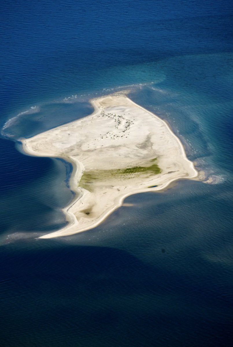 Landonhauser17's tweet photo. A photographer reached out to me and wanted to get some aerial pictures of barrier islands in the gulf. hard to believe that this is just off shore of Mississippi/Alabama https://t.co/sykczqkCfy