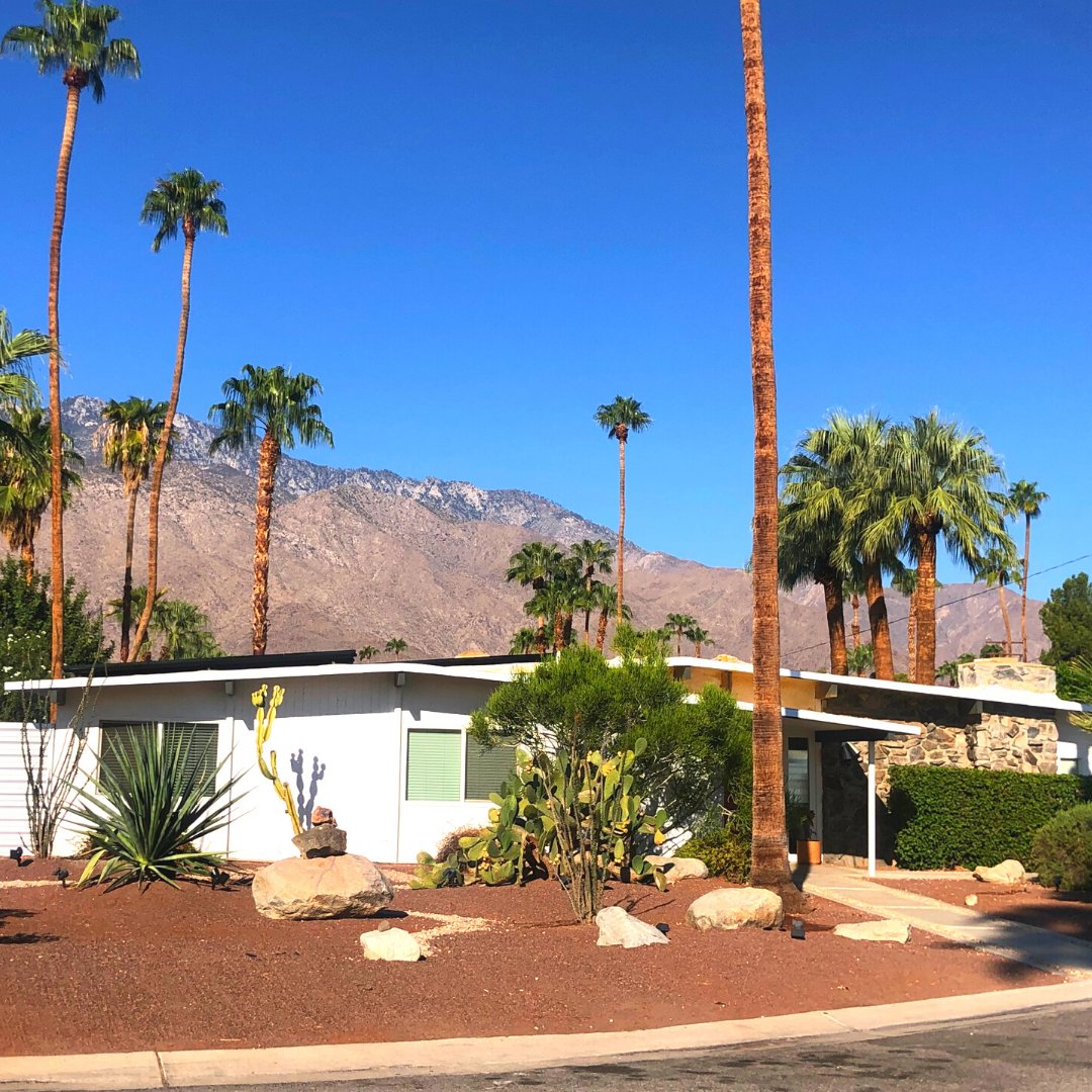 PlaimorParadise's tweet photo. Let's start Monday with blue skies and a view of the San Jacinto Mountains.
#palmsprings
#Vacationrental
#airbnb
#palmspringslife
#plaimorparadise
#sanjacintomountains
#sunmorestates https://t.co/vrXyIS4fdg