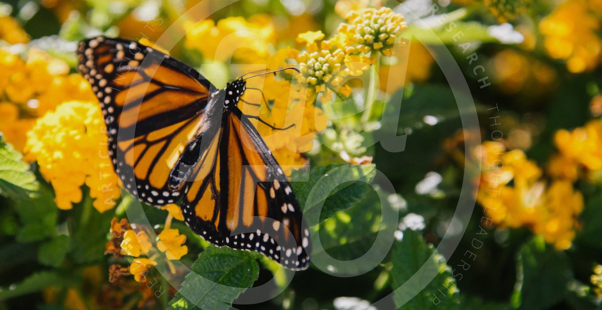 Social_Rhonda's tweet image. Texas Health Resources is evolving their talent experience by giving employees the same consideration as they do their consumers. Find out more here: fuel50.co/fuelx-thr #FuelX #Fuel50 #EmployeeExperience  @Anne_Fuel50   @texashealth  hrmfv.co/3e39