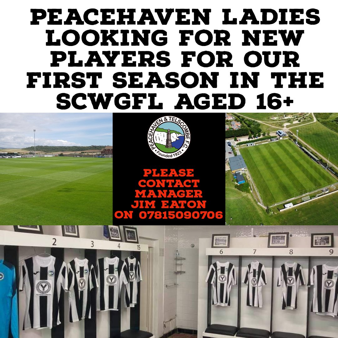 PeacehavenLFC's tweet photo. Still looking to add additional players to the current squad. https://t.co/8OpG5iiEET