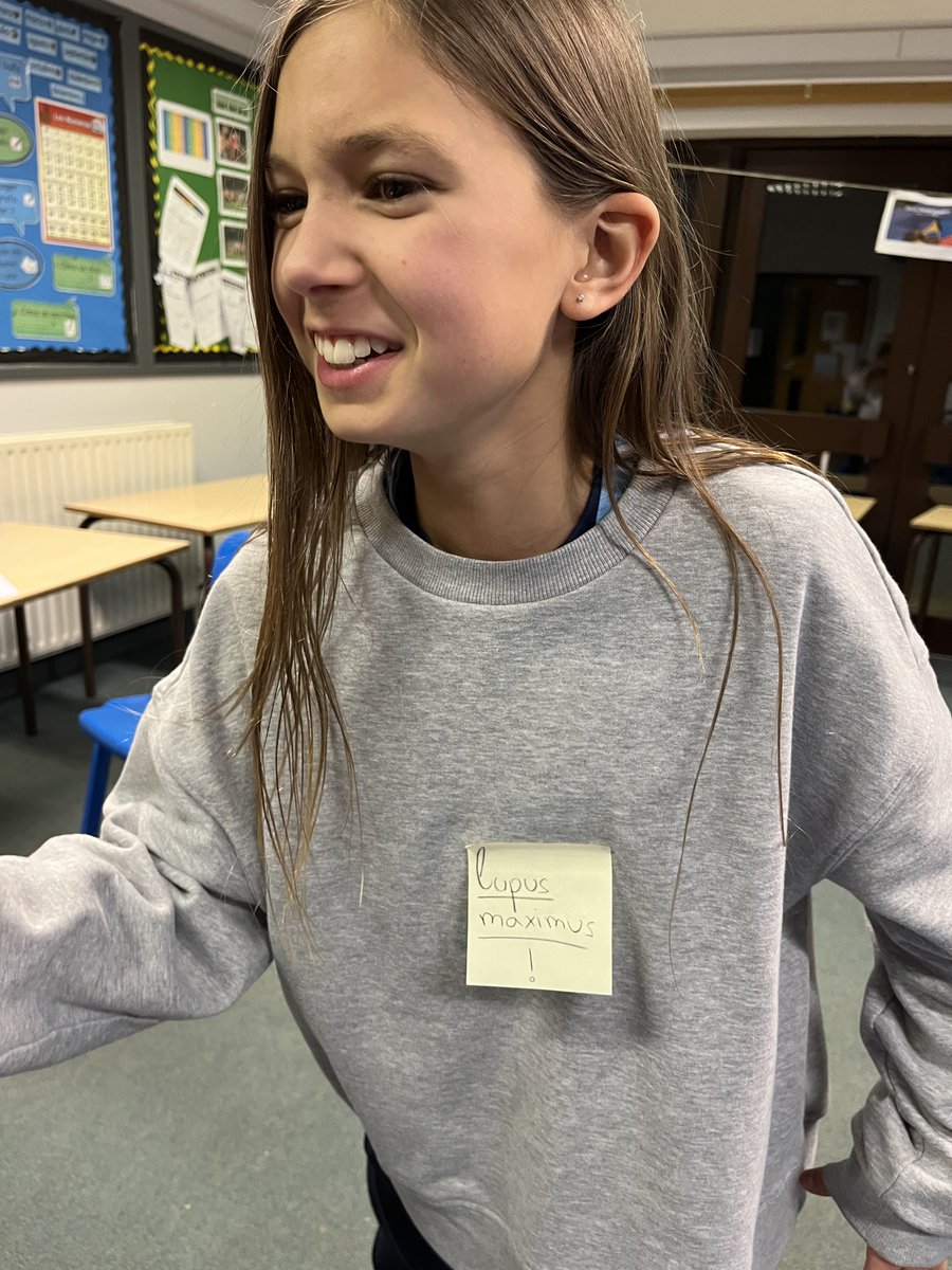 DunhurstMFL's tweet photo. Tres Porci Parvi in Latin Club this evening! #DistinctivelyDunhurst #bedalesschools https://t.co/MvEtTJAHl1