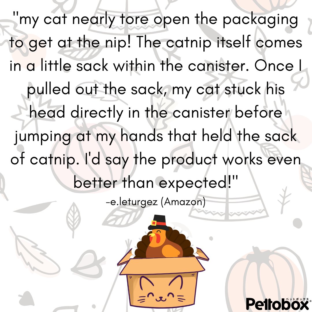 pettobox's tweet photo. Thank you to all the cat parents for your support, kind words, and sharing your experience with us. Share your personal experience or connect with us at support@pettobox.com or @pettobox on any of our social media platform. 

#supportsmallbusiness

❤️🧡💛💚💙💜🖤 Pettobox Team https://t.co/4q3znG2Zqk