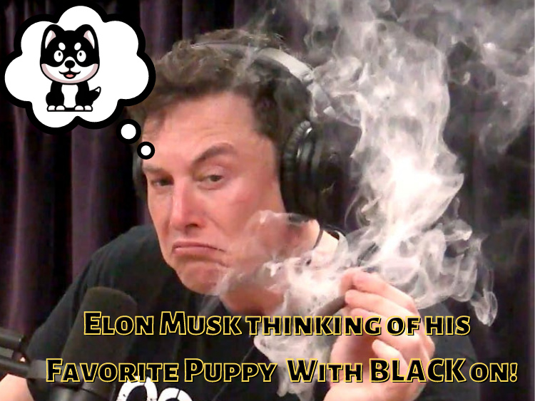 Web3Goat's tweet photo. @Black_Floki Hey, @AlienLite @HalalSaving @eTariqAfridi check my entry for @elonmusk's favorite Floki.

 #crypto #BSC #Blackfloki #DeFi https://t.co/Nrb4wJsqF8