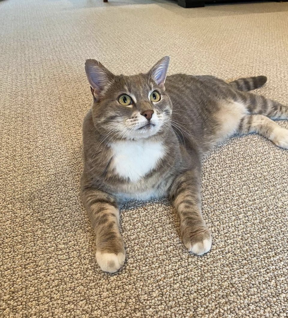 AndersonTuftex tweet media