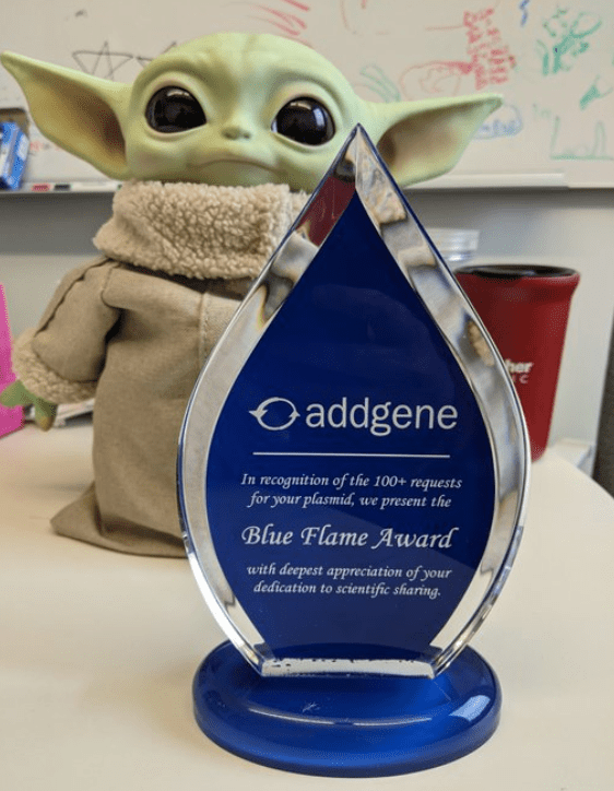 Addgene's tweet photo. Are you a depositor with a Blue Flame Award? Share a photo with us so we can give you a shout out! Addgene depositor @McLellan_Lab shared this photo with us before! #DepositorWeek https://t.co/6FZXcmFSNM