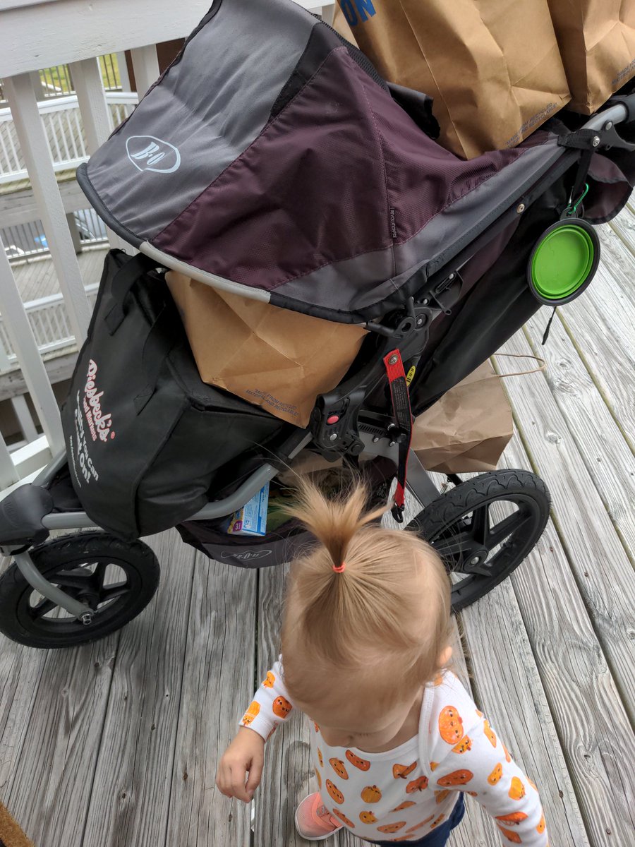 DoneDingRan's tweet image. When the condo is on the 3rd floor and the elevator is sloooowwww you use what you&apos;ve got. Aka, a whole shopping cart worth of groceries crammed onto one #BoBstroller