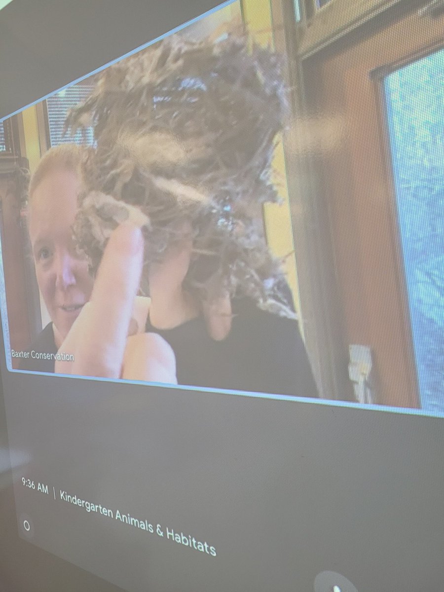 MrsMcKenneyOCSB's tweet photo. Class B learned a lot today from #BaxterConservation about animals & their habitats. They even learned about what animals leave behind... 💩
Class A will be having their virtual field trip next week!
#ocsbKindergarten https://t.co/QHsEuZQWQ3