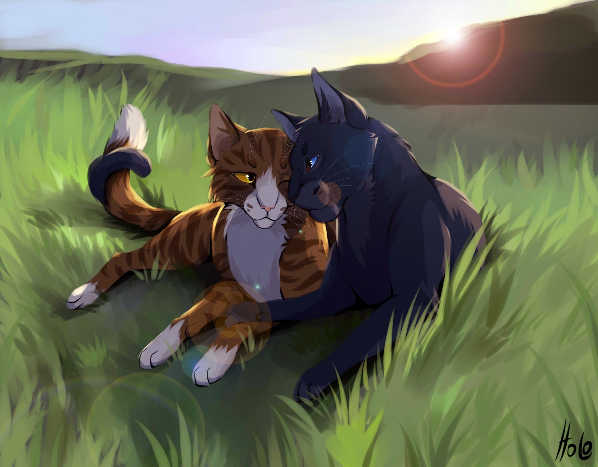 Crowfeather (Warriorcats)