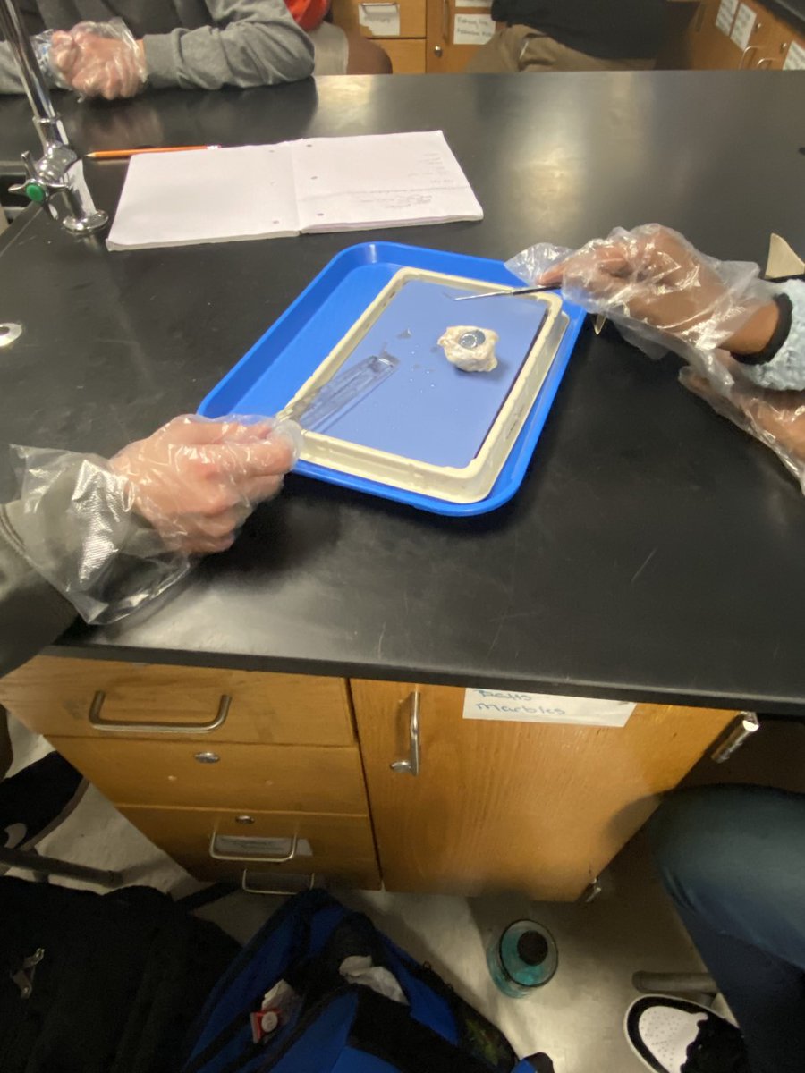smfalcons's tweet image. Student&apos;s in Mrs. Stuart&apos;s Science class working on their cow eye dissections today! #Science #SullivanMiddleSchool #OneTeamOneMissionOneRockHill @RockHillSchools