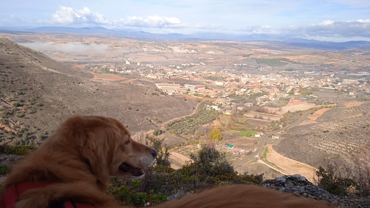 nela_grees's tweet photo. @SenderismoGuada @caminosgu Aquí os dejo algunas fotos de la ruta, lo pasamos genial y disfrutamos mucho con vosotros! ¡Quedé aún más enamorada de mi pueblo! 😍 https://t.co/VT9HIslWGu