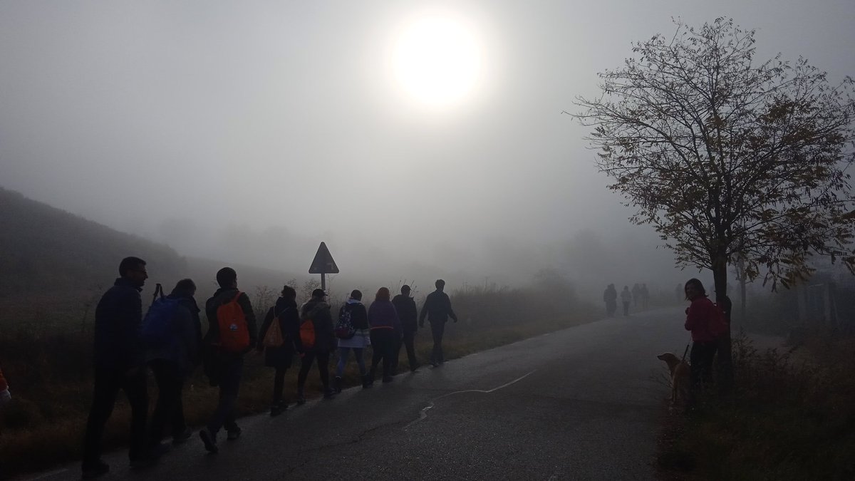 nela_grees's tweet photo. @SenderismoGuada @caminosgu Aquí os dejo algunas fotos de la ruta, lo pasamos genial y disfrutamos mucho con vosotros! ¡Quedé aún más enamorada de mi pueblo! 😍 https://t.co/VT9HIslWGu