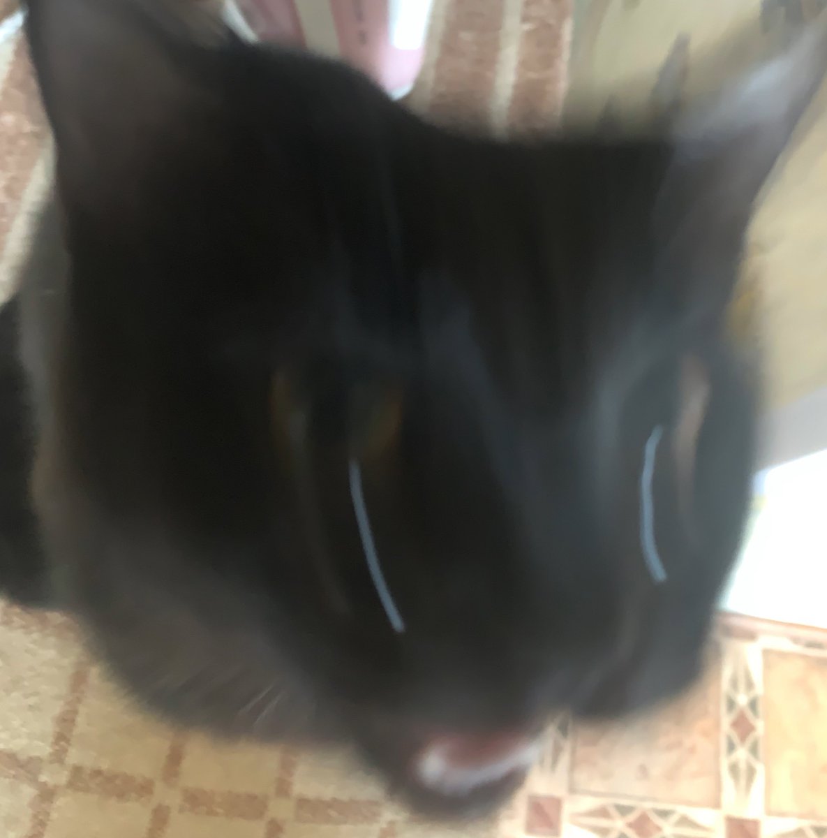 Да как же все бесит