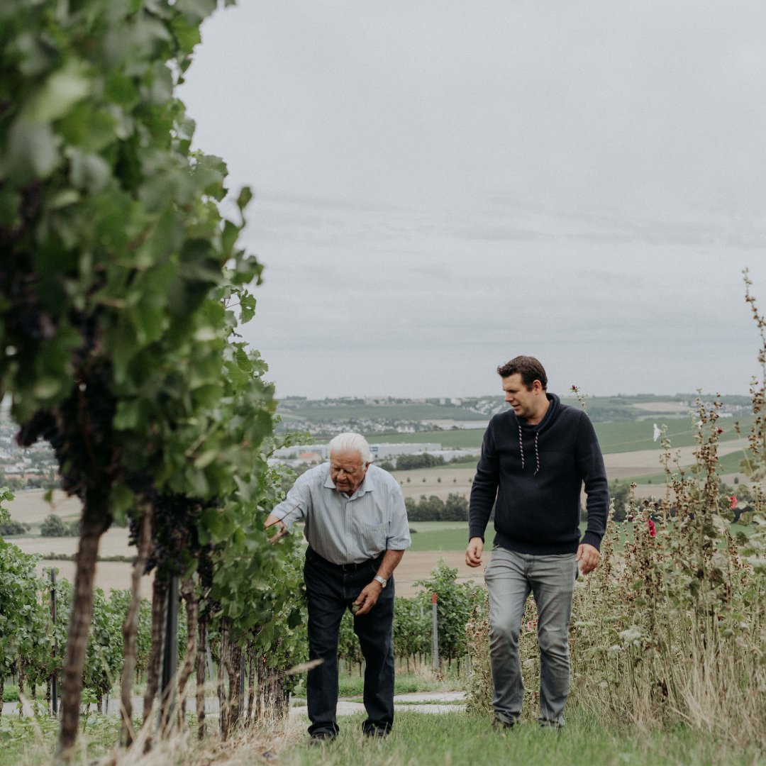 WineCapitals's tweet photo. From its vines to its postage stamps, @braunewell sets new sustainability standards – which is why this they have been voted the 2022 #People’sChoiceAwards winner in the “Sustainable Wine Tourism Practices” category. 

#GreatWineCapitals #BestOfWineTourismAwards https://t.co/9vvSpPA9sj