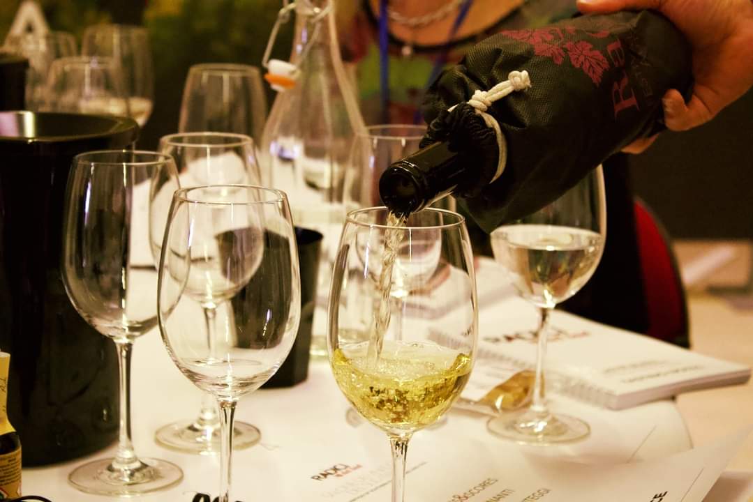 A Giugno 2022 XVII edizione del Concorso dei vini Autoctoni del Sud Italia. Sei un produttore di Vino di #Abruzzo #Calabria #Basilicata, #Campania #Molise #Puglia #Sardegna #Sicilia? 

Iscrivi oggi la tua cantina
bit.ly/radici2022

#RadicidelSud
10-13 Giugno 2022