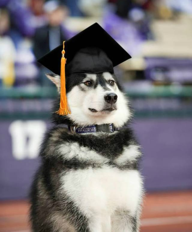 Dexmos_'s tweet image. 