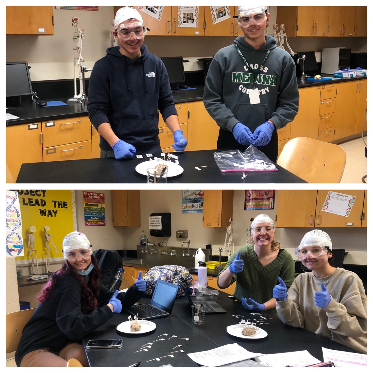MrsMedlockMHS's tweet photo. HBS students have been โmapping the brain and today we finished with the ๐ง dissections! 11th period!
#PLTW #HBS #weRmedina #MCCCPLTW
PLTW is a collaboration between MCCC and MCS https://t.co/eOlkNf0NxQ