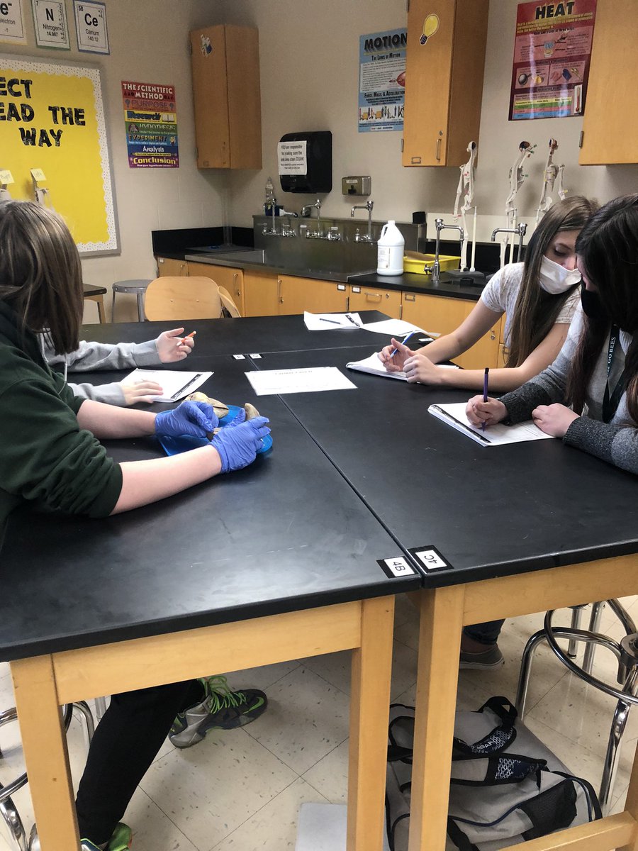 MrsMedlockMHS's tweet photo. PBS got to examine hearts and identify abnormalities in their structures! They rocked this activity! ๐
#PLTW #PBS #weRmedina #MCCCPLTW
PLTW is a collaboration between MCCC and MCS https://t.co/hngfTJldSu