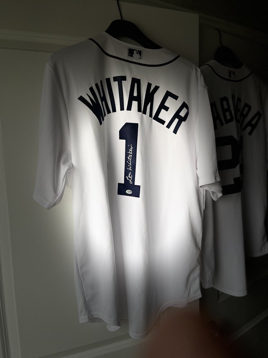 Detroit Tigers Minor League Tracker tweet media