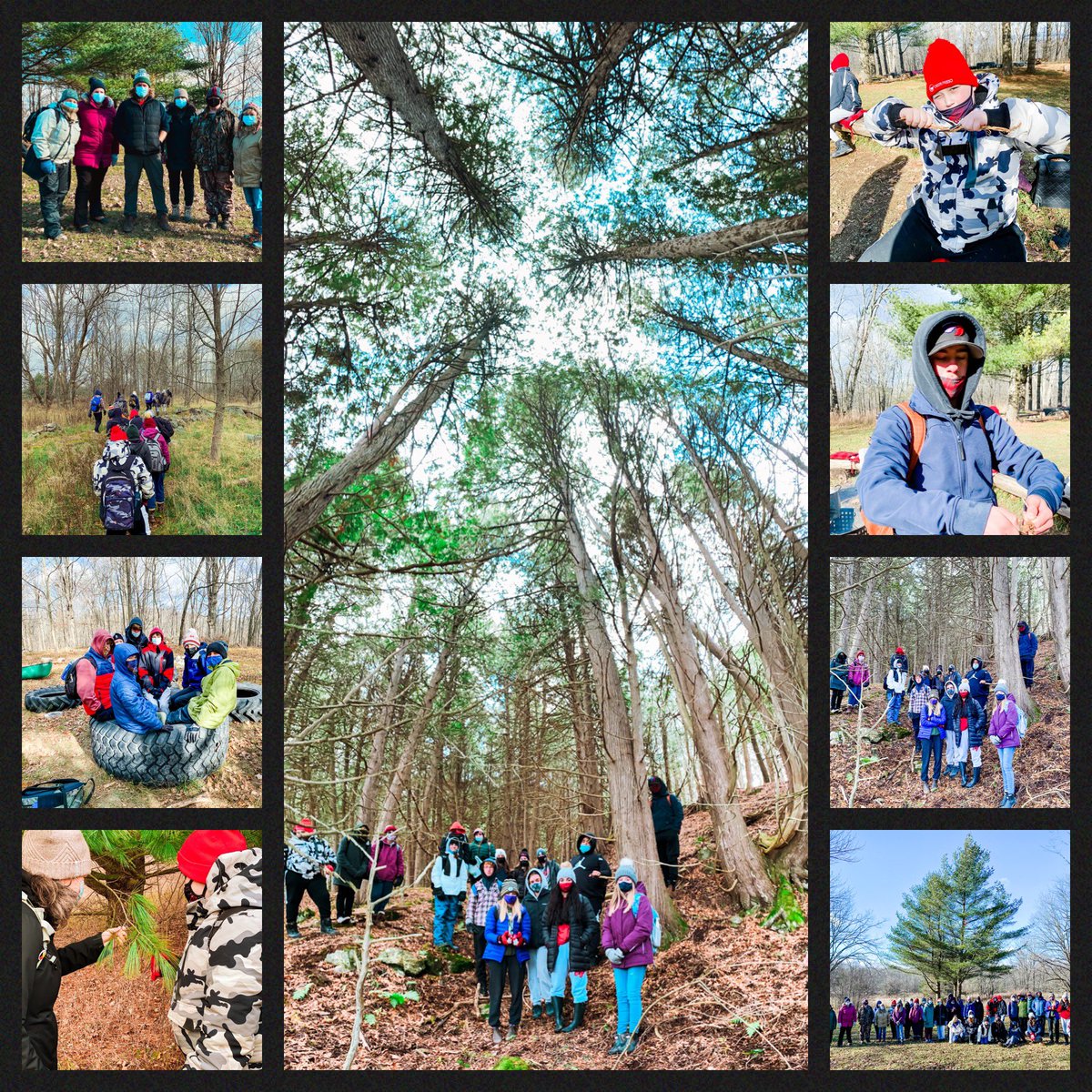 Lauren Anderson tweet media