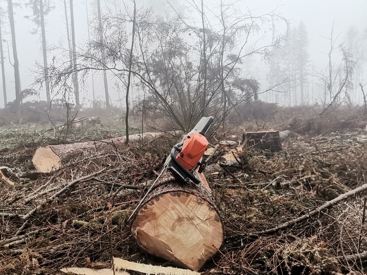 AppWoodr's tweet photo. Česku se daří snižovat emise skleníkových plynů🚗. Oproti roku 1990 klesly o 38 procent. Zdejší lesy 🌲tomu ale přestaly pomáhat, a to kvůli kůrovcové kalamitě🐛 a masivním těžbám v poslední době. 🌳
https://t.co/S2S8r0YxYW https://t.co/uojifUT2zk