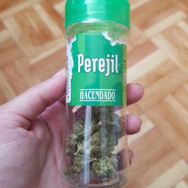 joderaler's tweet photo. alguien sabe si es normal k mi perejil esté así??? m ha venido defectuoso del mercadona creo https://t.co/oQHF2p4ft0