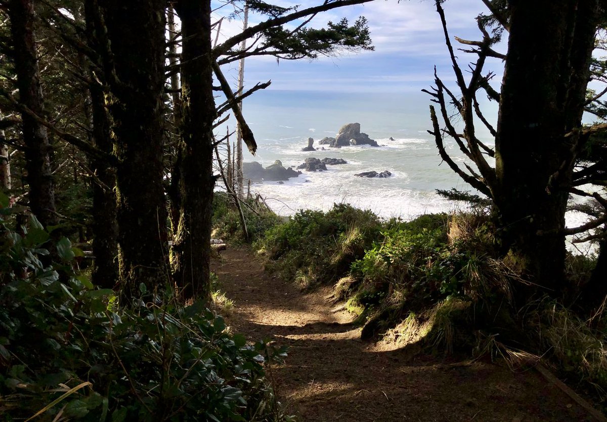 Oregonian's tweet photo. Ecola State Park closed indefinitely due to sinkhole, landslide https://t.co/1LFLSvUuw4 https://t.co/zQBMXJR6o2