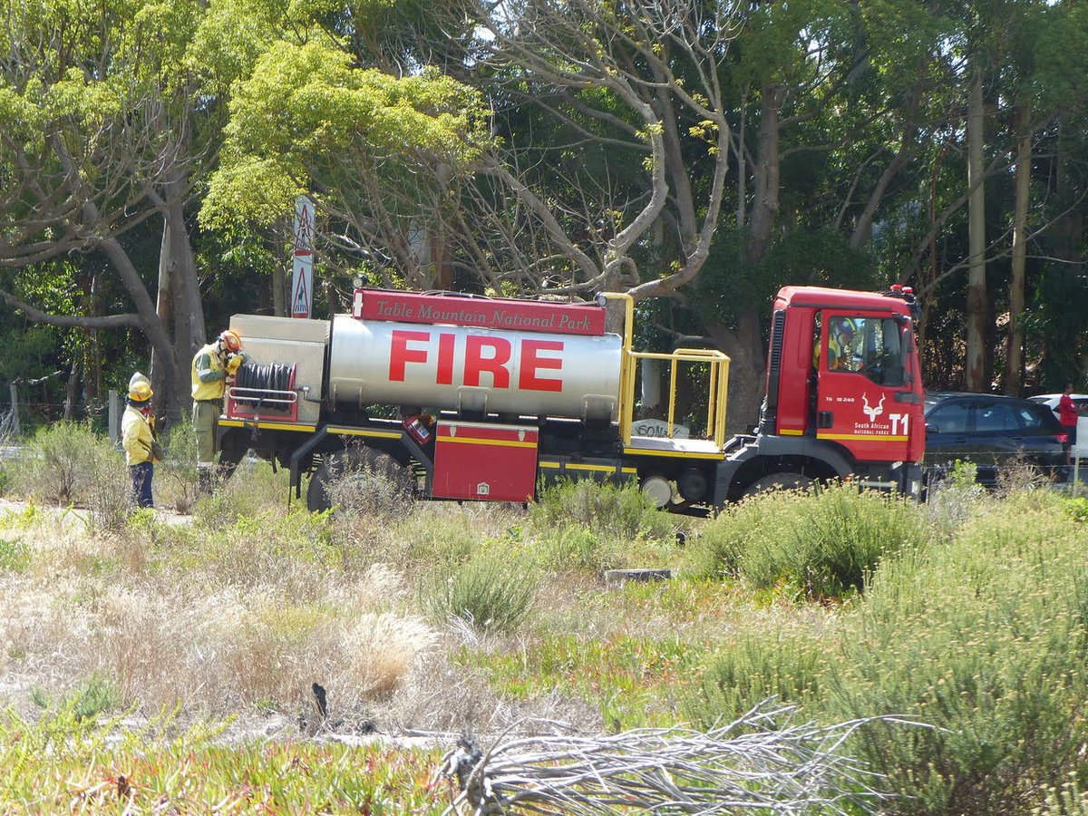 As the weather becomes drier and temperatures rise, this signals the arrival of our fire season here in the Western Cape. Are you prepared? More information on integrated fire management here:
fynbosfire.org.za/development/wp…

#FynbosFire #FireSeason #FireManagement #WildfirePreparedness
