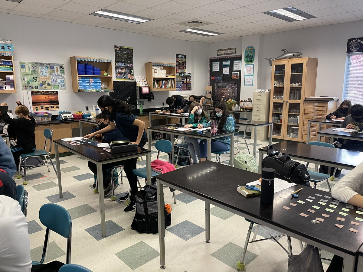 Who was cured of strep throat during the antibiotic resistance game? Only the roll of the die will determine whether students remembered to take their antibiotics to kill the bacteria. #diseasedetectives #OurDrive @DDMSBuzz