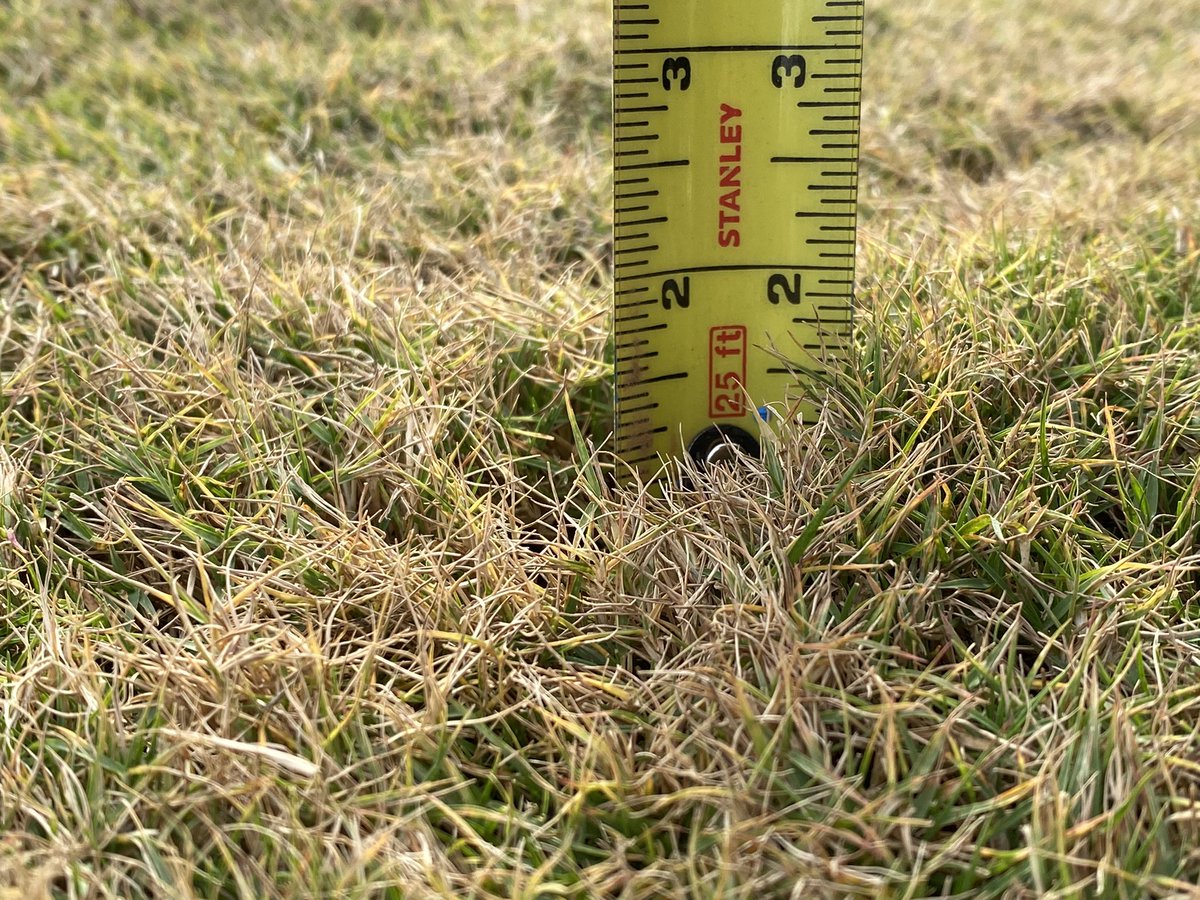 IHCCTurf's tweet photo. Areas pictured, indicated by ❌s, are mowed at same HOC by the same machine. Just an example of how much traffic can affect our playing surfaces. #compaction #badliegoodlie #onramp #90degrees #barrierswork https://t.co/82v01okxiI