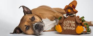safekidsri's tweet photo. We hope you have a safe and very happy Thanksgiving! https://t.co/L28tItXT9Z