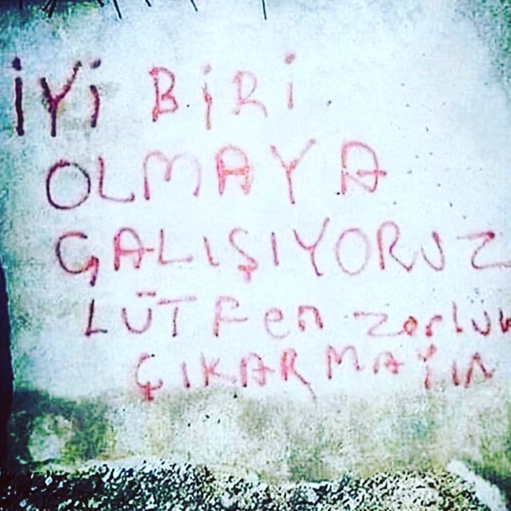 Haram Beygir (@harambeygir) on Twitter photo 