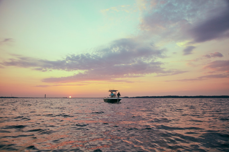 Discover_SC's tweet photo. Take part in new and exciting fishing adventures when you #fishinsc. https://t.co/eD5TTlsKT0 #DiscoverSC https://t.co/hje85OqtjZ