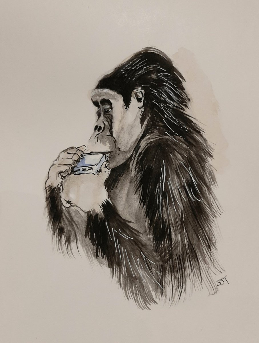 SallyJTaylor's tweet photo. A Gorilla playing a Harmonica. H for Animal Alphabets musical instruments round. #hertshour @AnimalAlphabets #animalalphabets #gorillaorchestra #musicalanimals #hertsvisualarts https://t.co/RXiDNwwjYI