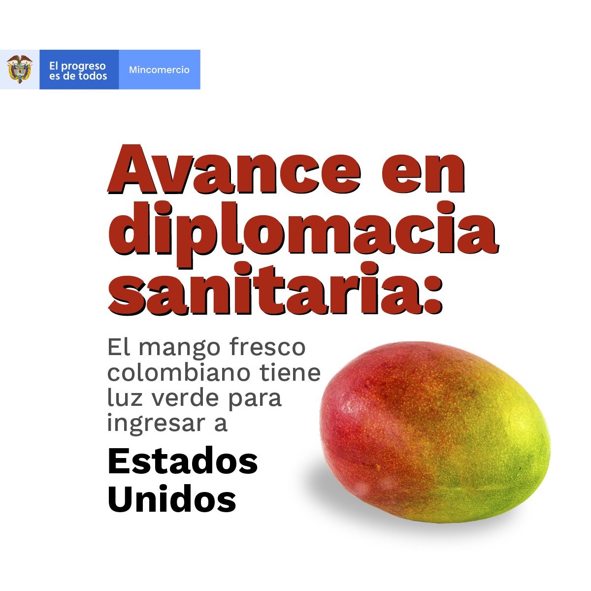 MincomercioCo's tweet photo. 🚨 El mango colombiano 🥭 conquista otro mercado. Gracias a la labor en diplomacia sanitaria con @ColombiaEmbUSA @MinAgricultura @ICACOLOMBIA y @PROCOLOMBIACO nuestros productores podrán exportar a Estados Unidos 🇺🇸

#ColombiaExportaMás 🇨🇴 https://t.co/g2ldNUJvDq