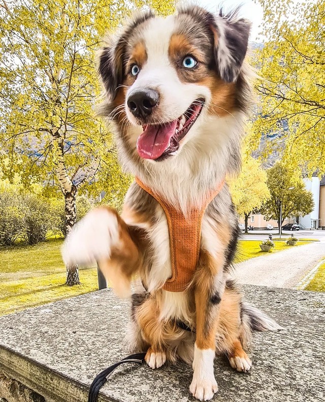 😍⁠
-⁠
-⁠
-⁠
-⁠

📸 instagram.com/p/CWlsSyhg7bf/ via tweet.photo