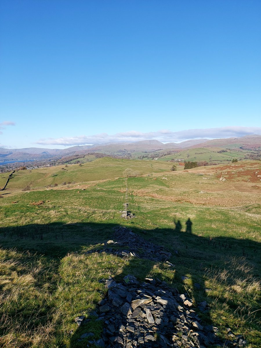 Toby King tweet media