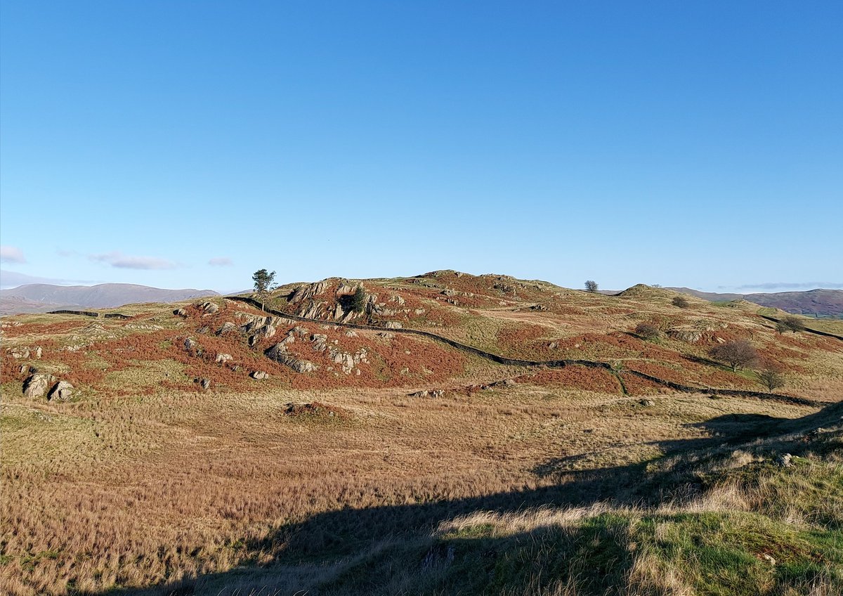 Toby King tweet media