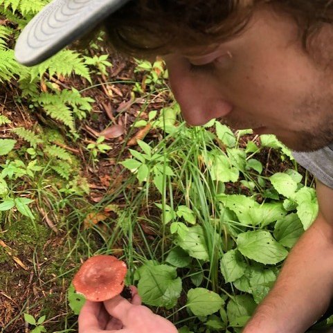 GreatSmokyNPS's tweet photo. We are calling all researchers that would love to help the park address critical needs that may increase the amount and effectiveness of research in the park. To apply please visit 

https://t.co/BIRH6jclzB

NPS 📸 https://t.co/Cc7FHtT39I