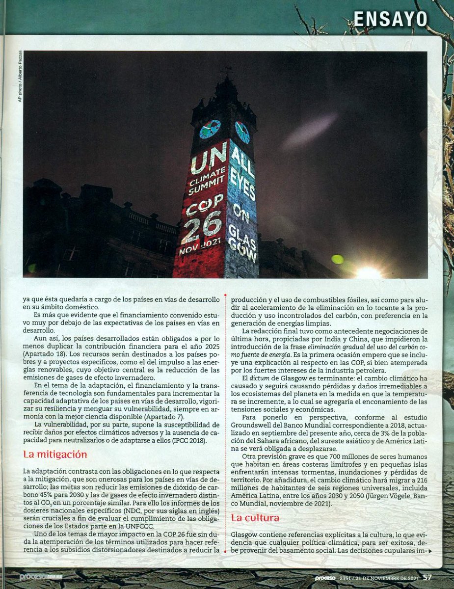 Comparto ensayo en Proceso