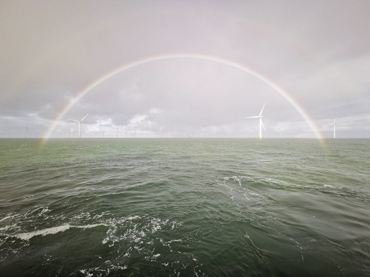 Adam ⚓ tweet media