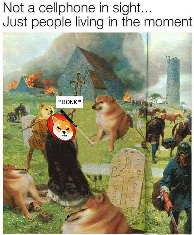 was off twitter for a couple of days

#DOBO is still Bonking properly 

GM

#DOBO #dogebonk #BonkSquad #cryptocurrency #Bitcoin #BSC #BNB #BinanceSmartChain #Binance