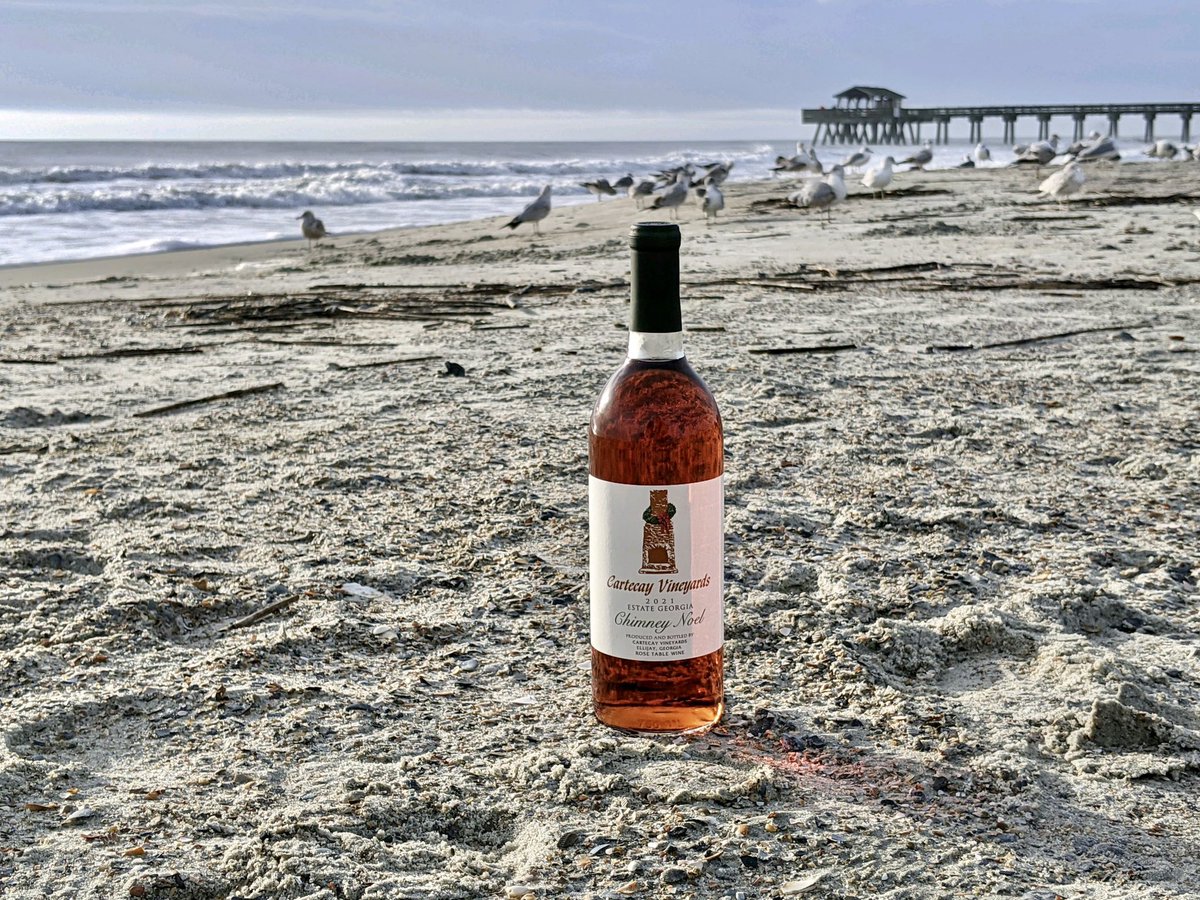 “Where have you taken Chimney Noel?” 
Post your #ChinneyNoel
Pictures and let’s see where where our customer favorite wine travels this season! We’ll start with this one in Tybee Island, Ga. 😃🍷 #cartecayvineyards @ellijayga