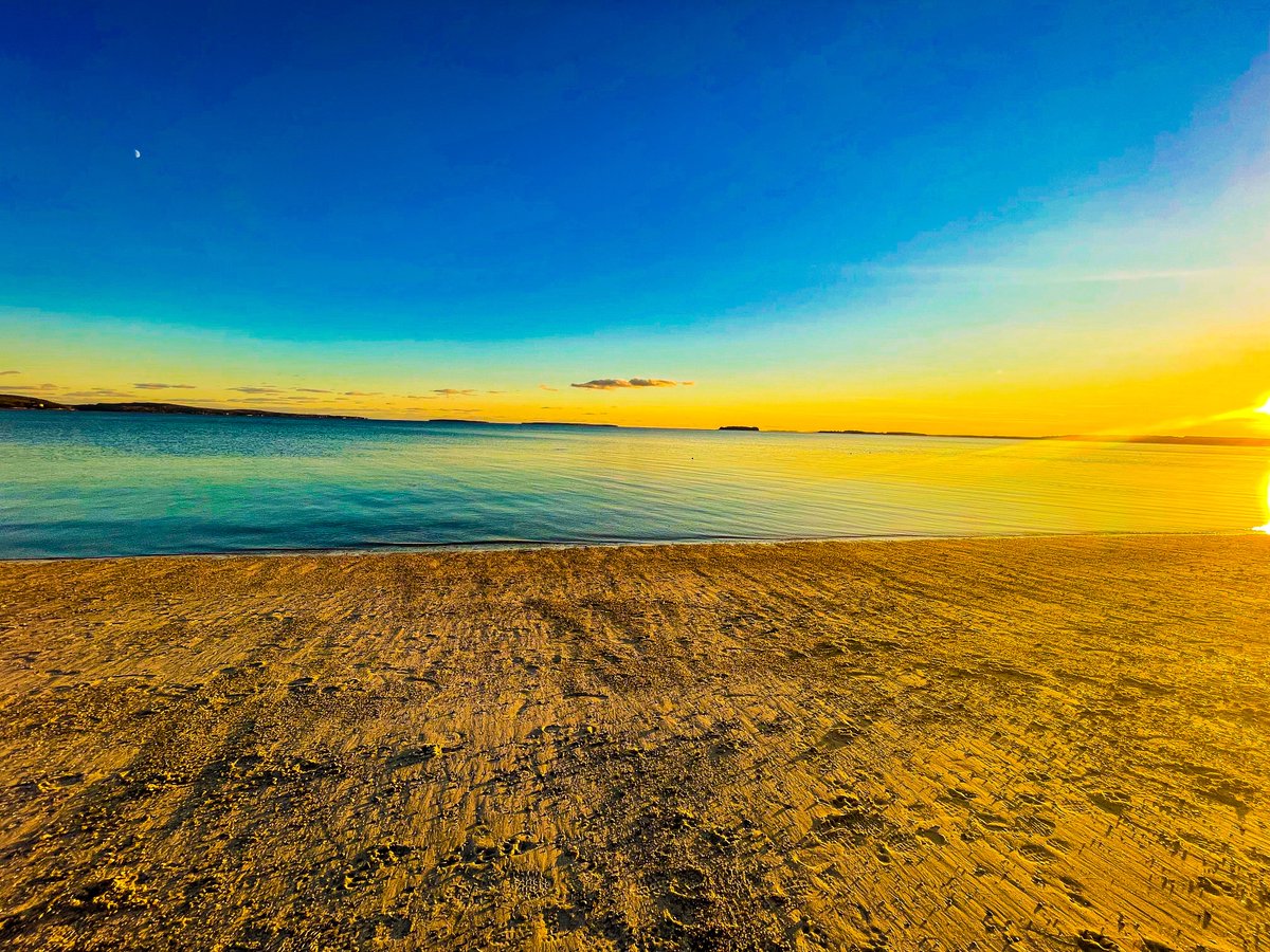 Suzy The Explorer tweet media