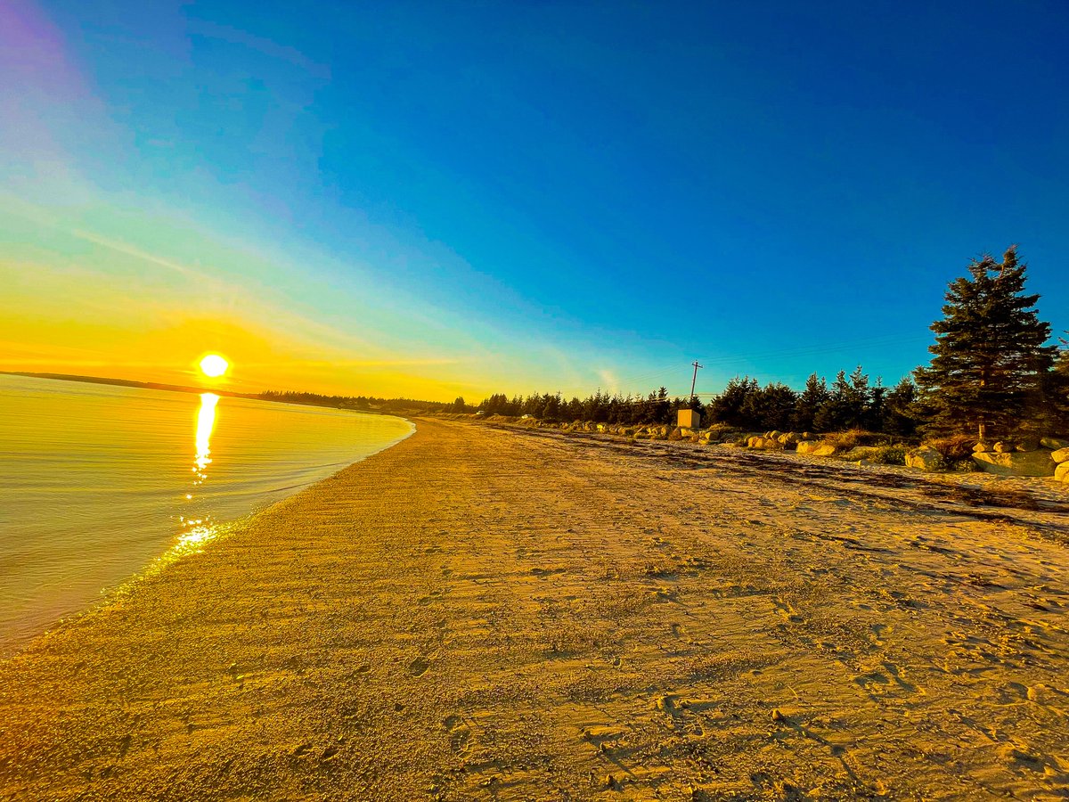 Suzy The Explorer tweet media