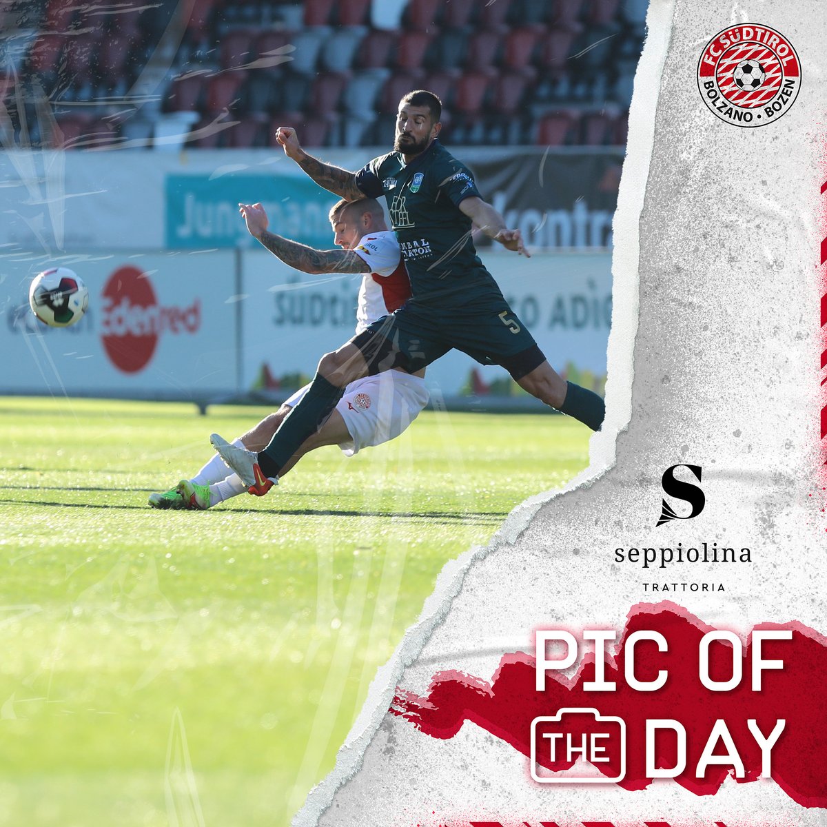 fclubsuedtirol's tweet photo. Seppiolina Pic Of The Day 📸🇮🇩
#FCS #FCSüdtirol #Whitereds #SerieC #passion #FCSFER #FCSüdtirolFeralpisalò #PassioneBiancorossa #22novembre https://t.co/6mNbs7tkhc